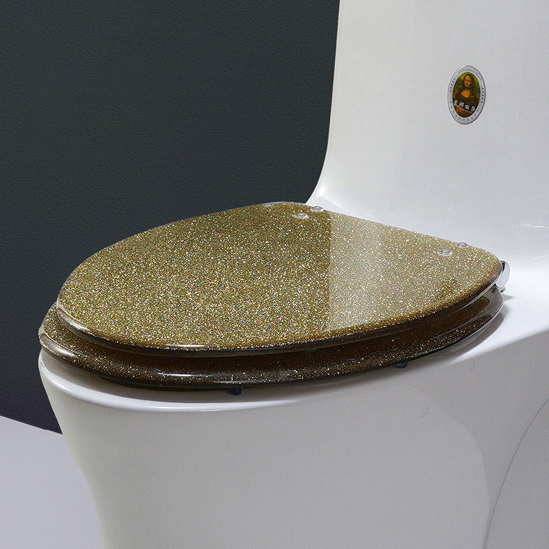 19 Inch V-shaped Gold Starlight Toilet Seat