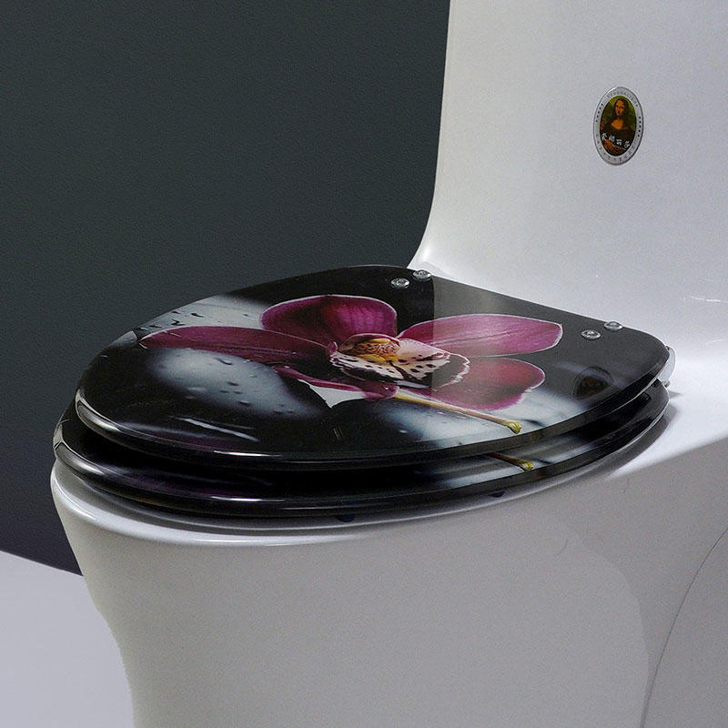 19 Inch V-shaped Flower Toilet Seat