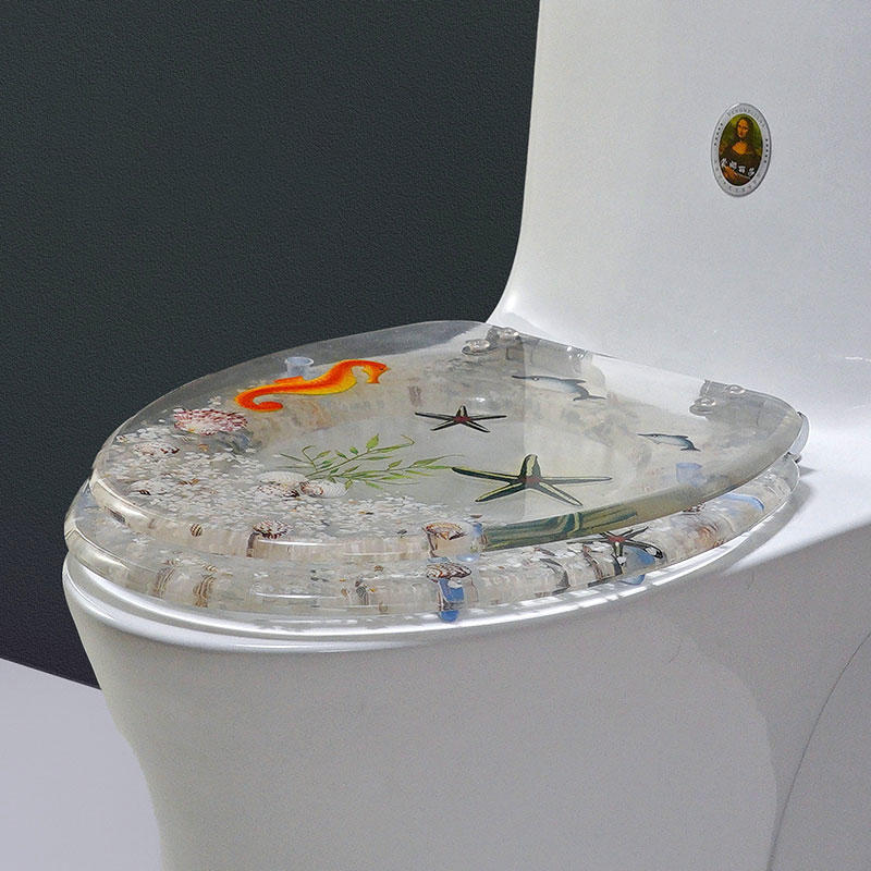 19 Inch V-shaped Transparent Hippocampus Toilet Seat