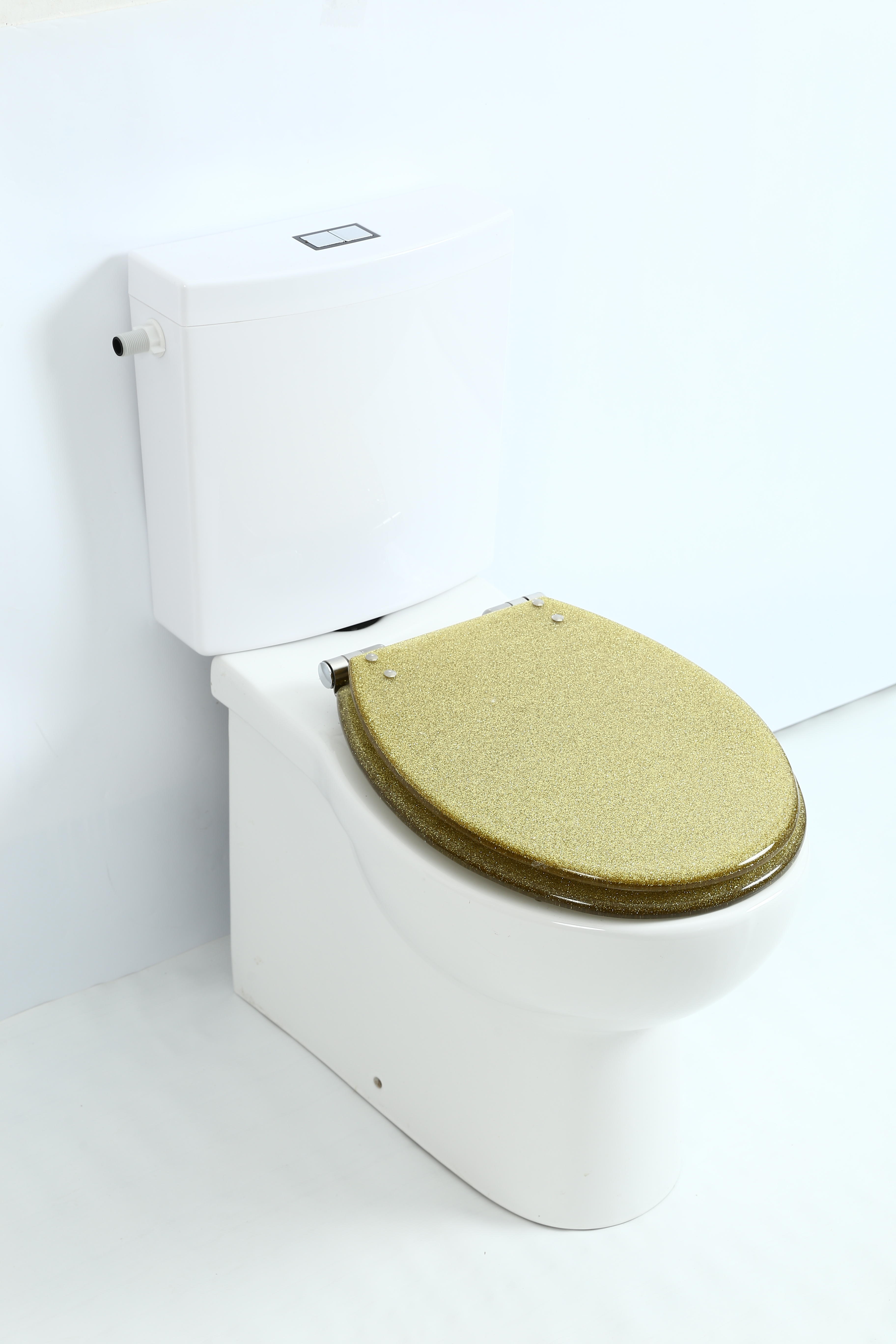 18 Inch Gold Starlight Toilet Seat